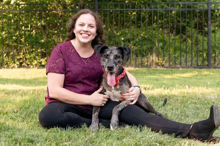 Advanced Internal Medicine for Pets 8
