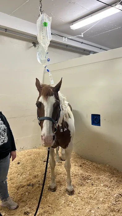 U of I Large Animal Clinic 12