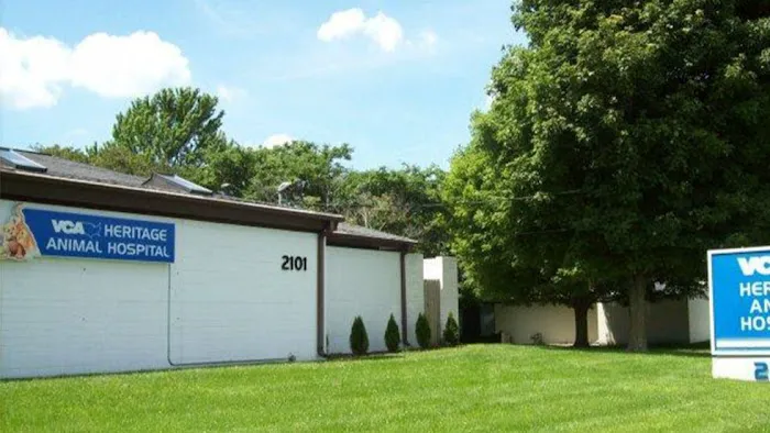 VCA Heritage Animal Hospital 12