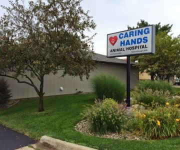 Caring Hands Animal Hospital: Thurman Curt DVM