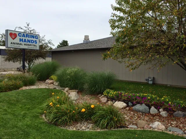 Caring Hands Animal Hospital: Thurman Curt DVM 12