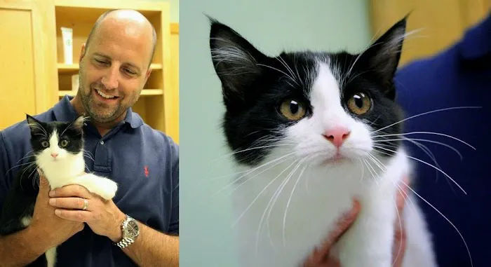 Sports Vet Animal Medical Center 12