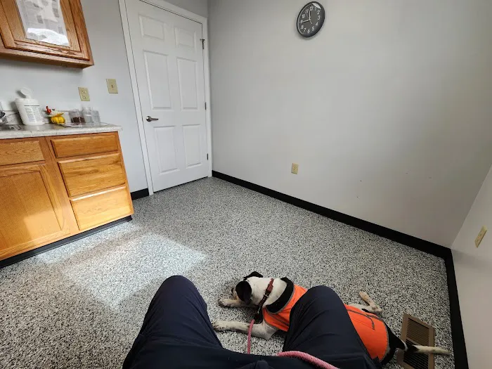 New Winchester Animal Clinic 8