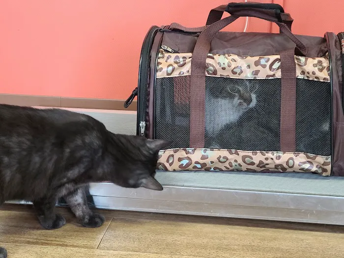 Eighth Street Veterinary Care 5