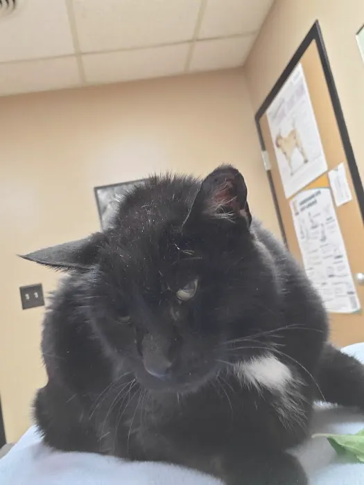 Eighth Street Veterinary Care 10