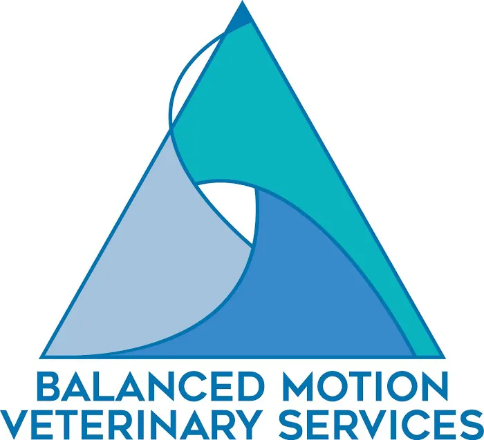 Balanced Motion Vet 12
