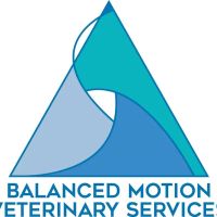 Balanced Motion Vet ico