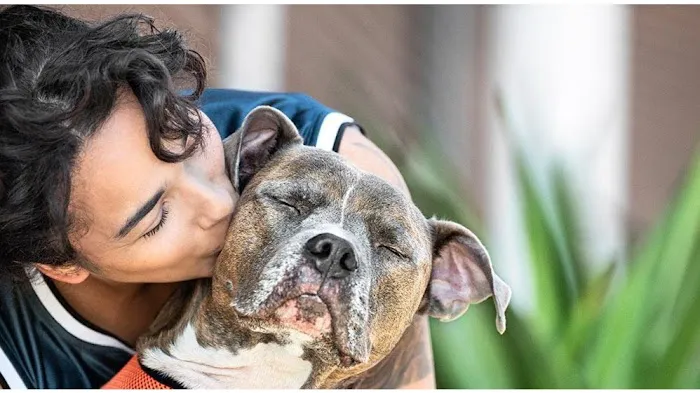Banfield Pet Hospital 12