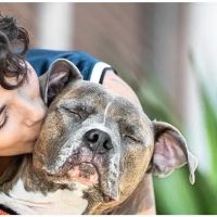 Banfield Pet Hospital ico