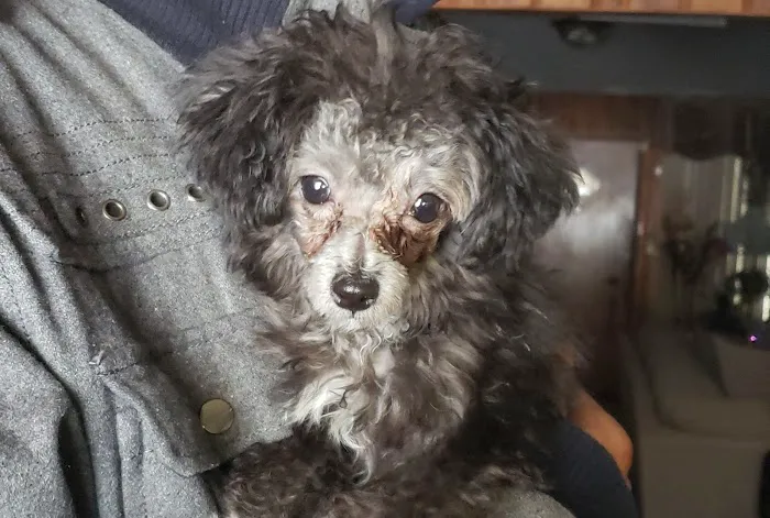 Banfield Pet Hospital 12