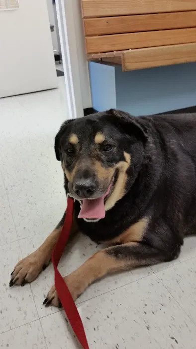 Banfield Pet Hospital 12
