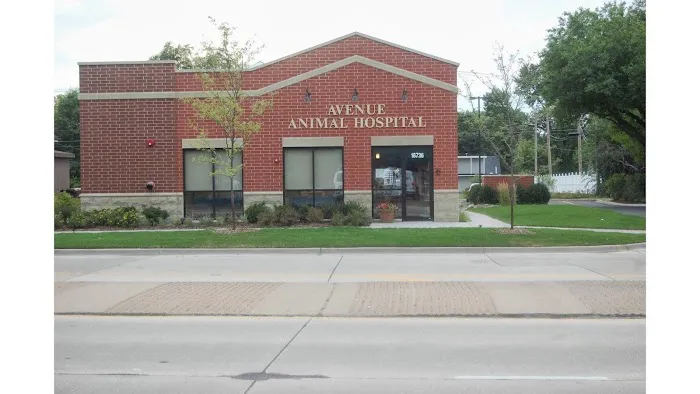 Avenue Animal Hospital 12