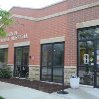 Avenue Animal Hospital ico
