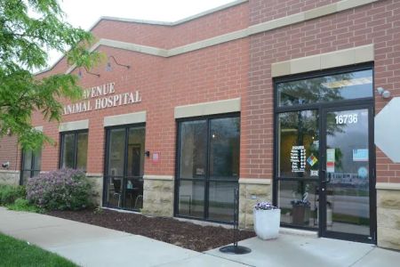 Avenue Animal Hospital
