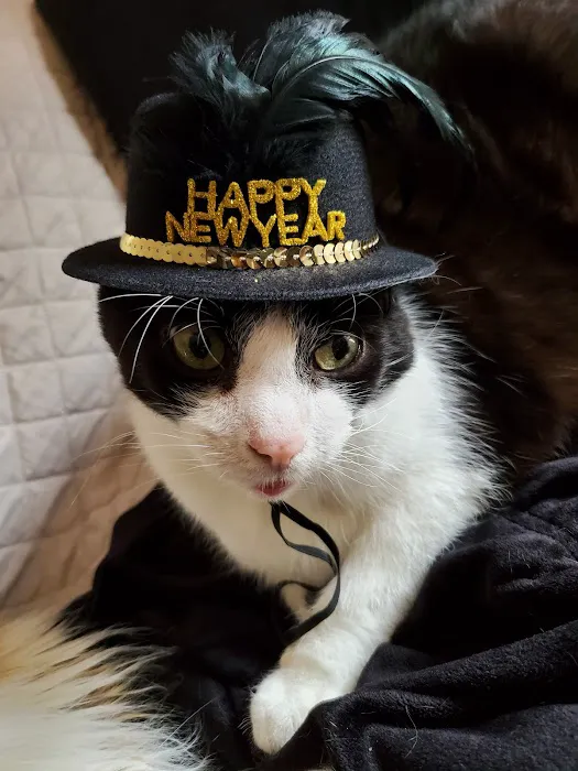 Avenue Animal Hospital 12