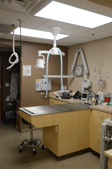 Avenue Animal Hospital 12