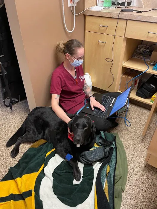 Avenue Animal Hospital 12