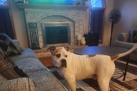 Family Pet Clinic
