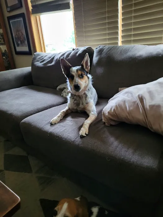 Family Pet Clinic 12