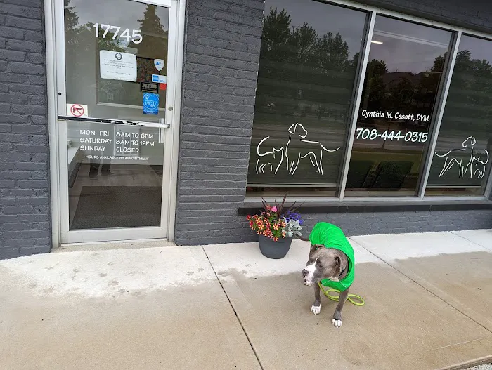The Veterinary Clinic of Tinley Park 12
