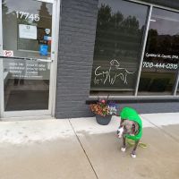 The Veterinary Clinic of Tinley Park ico