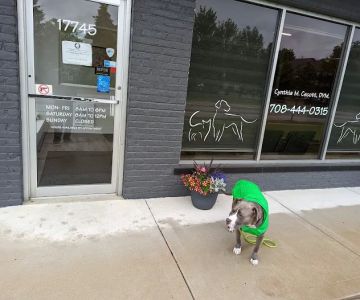 The Veterinary Clinic of Tinley Park