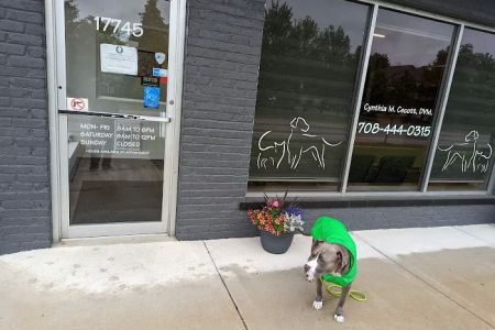 The Veterinary Clinic of Tinley Park