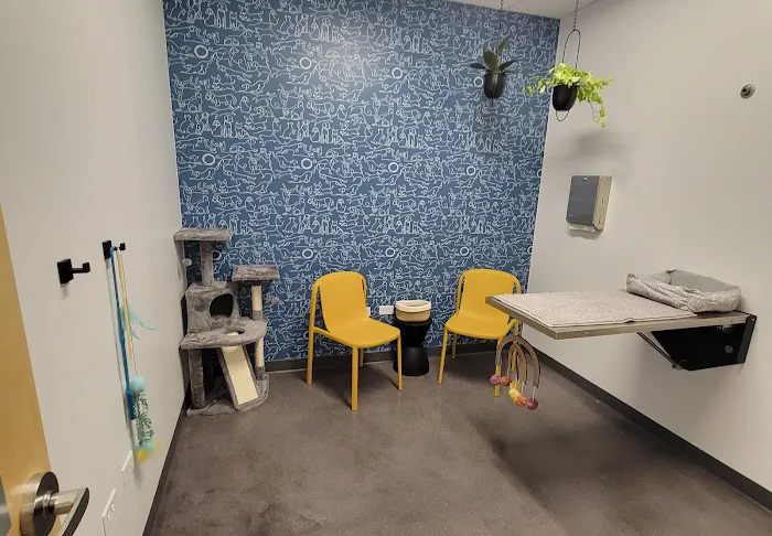Thrive Pet Healthcare - Orland Park 12