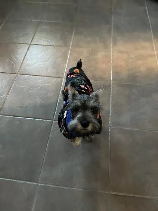 Thrive Pet Healthcare - Orland Park 12