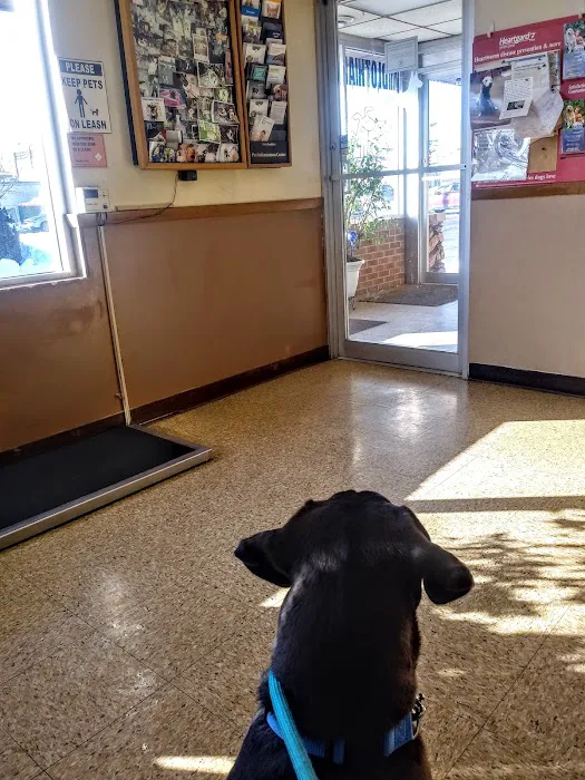 Midlothian Animal Hospital: Martin Teresita DVM 3
