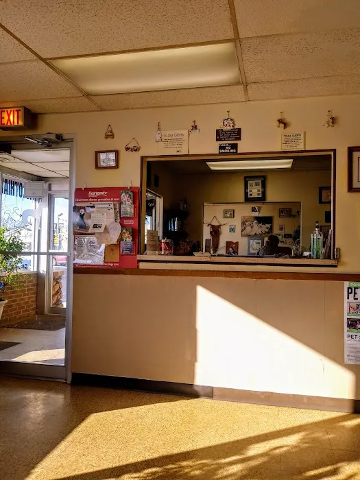 Midlothian Animal Hospital: Martin Teresita DVM 2