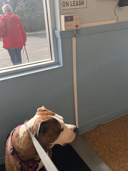 Midlothian Animal Hospital: Martin Teresita DVM 1