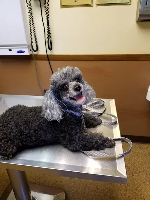Midlothian Animal Clinic 12