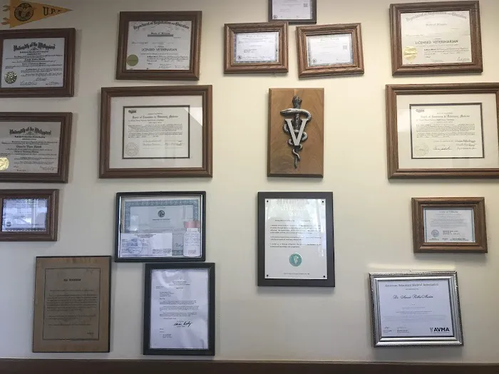 Midlothian Animal Clinic 12
