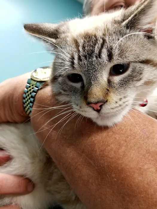 Lake Station Pet Clinic 6