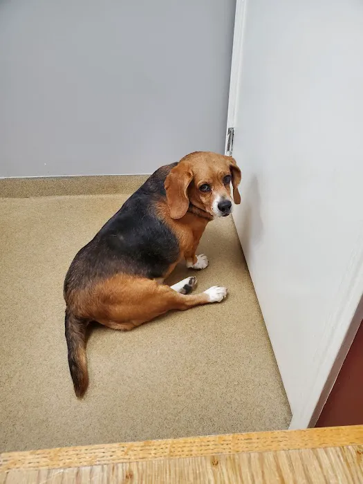 Lake Station Pet Clinic 7