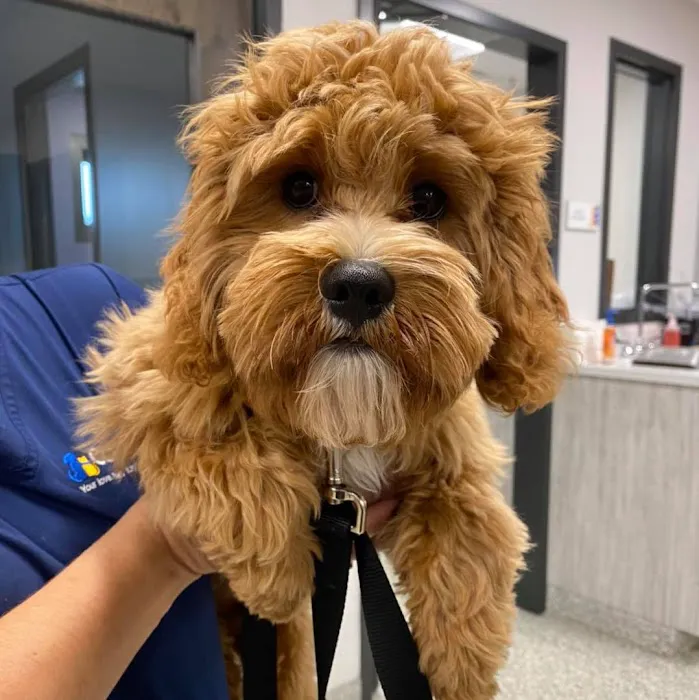 Coyne Veterinary Center - Portage 12