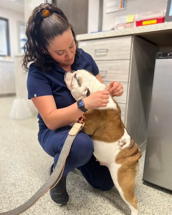 Coyne Veterinary Center - Portage 12