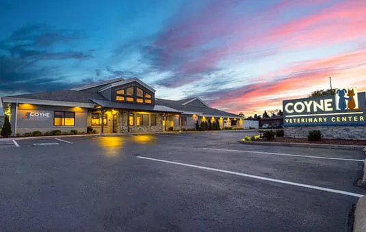 Coyne Veterinary Center - Portage 12