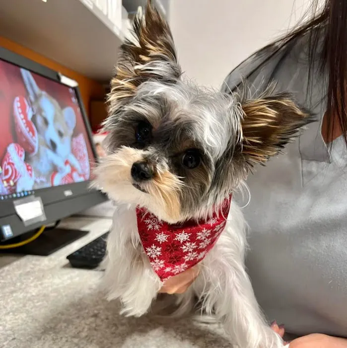 Coyne Veterinary Center - Portage 12