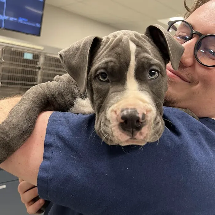 Coyne Veterinary Center - Portage 12