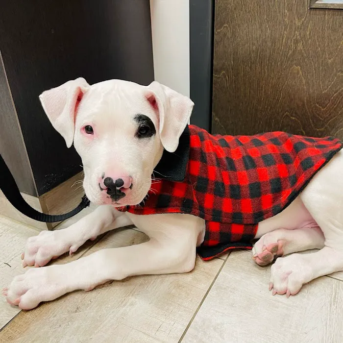 Coyne Veterinary Center - Portage 12