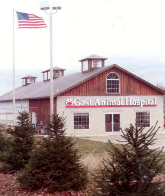 Gast Animal Hospital 2