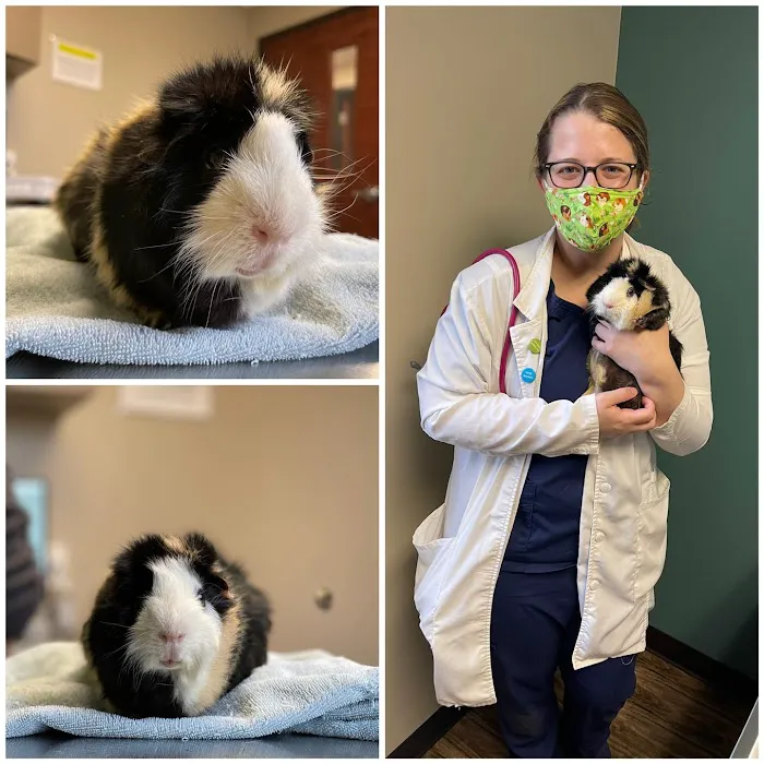 Arbor View Animal Hospital 2