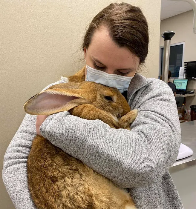 Arbor View Animal Hospital 9