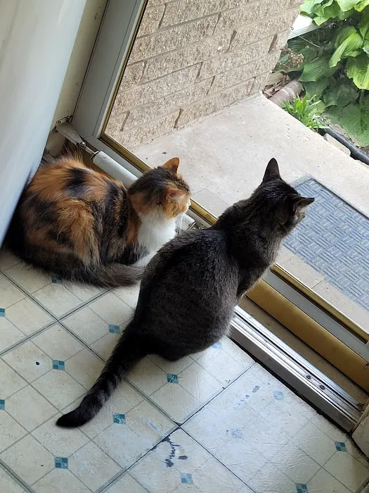SNIP Spay & Neuter - Portage, Indiana 12