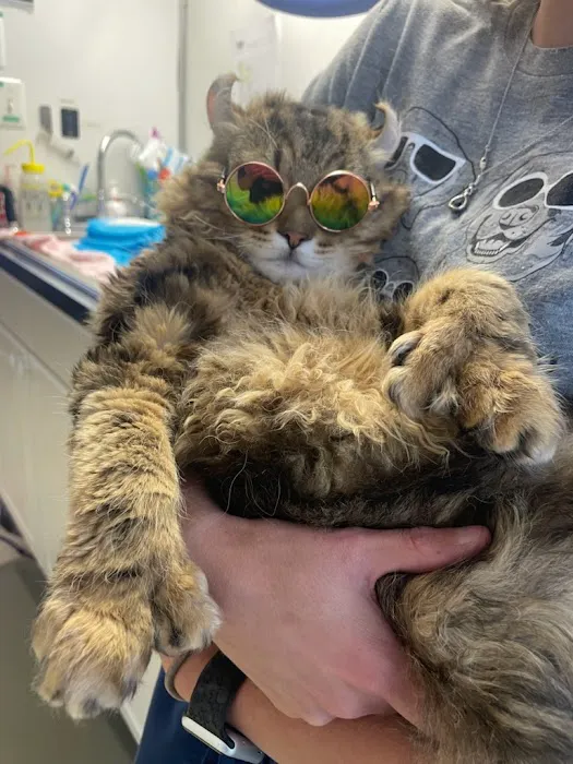 SNIP Spay & Neuter - Portage, Indiana 12