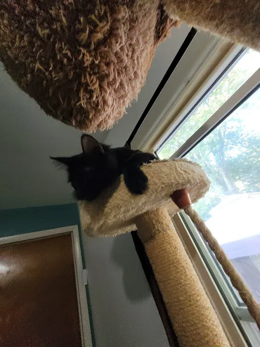 SNIP Spay & Neuter - Portage, Indiana 12