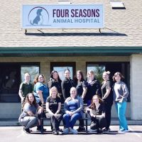 Four Seasons Animal Hospital ico