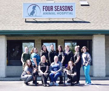 Four Seasons Animal Hospital